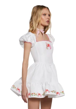 Dolls Kill | Care Bears x Strawberry Shortcake Dresses|Plus*Cheerful Spirits Fit N’ Flare Dress